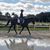 Sharon Carmack's profile image