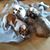 Penny LarrettEarl's profile image