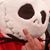 Jeff B Harper's profile image