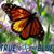 Joann Reed's profile image