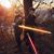 Austin Neil Dowdy's profile image