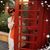 Alyona Jacobs's profile image
