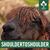 Craig Johnston's profile image
