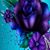 Debbie J. Hibbard's profile image