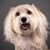 Alma Lynn O'Leary's profile image