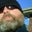 Joe Morris's profile image