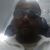 Fred Oliver's profile image