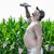 Riley Smith's profile image