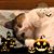 Kathie Jamie Lenhart's profile image
