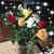 Bobi Wagner-Fanning's profile image