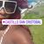 Cassandra Sullivan's profile image