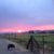 Barbara Bretches's profile image