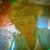 Sateeta Junkun's profile image
