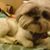 Chris Whiteleather's profile image