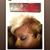 Conni Simien-james's profile image