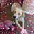 Marilyn White's profile image