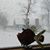Leona Marie Forray VanSteenkiste's profile image
