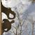 Kristy Wallace Ragsdale's profile image