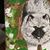 Cheryl Hill's profile image