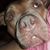 Angela Kaul's profile image