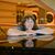 Sandy Schandle's profile image