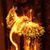 Steve Grodetz's profile image