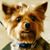 Jeanette Mayfield's profile image