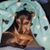 Nancy Solon's profile image