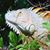 Abram Nicholson's profile image
