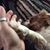Donna Colonna's profile image