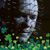 Donald Holweg Sr.'s profile image