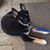 Melinda Smith's profile image