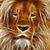 Jessica Jackson's profile image