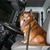 Laura Estes Washburn's profile image