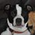 Kathy Ayscue's profile image
