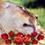 Michele Brath's profile image