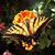EBeth MPenn's profile image
