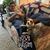 Pamela Abraham's profile image