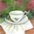 Sandy Loomis's profile image
