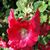Bev Martin's profile image
