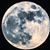 Shelly Brown's profile image