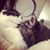 Dawne Elaine's profile image