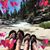 JohnandSally Downs's profile image