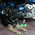 Kelly Ivo Rasmussen's profile image