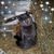 Marylou Begotka's profile image