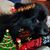 Heather Hubbard-McNutt's profile image