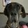 Wilma N.'s profile image