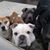 Lori Peglow Reichold's profile image