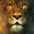 Sandy Haacke Oppman's profile image