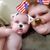 Kailee Lorene Zorn's profile image